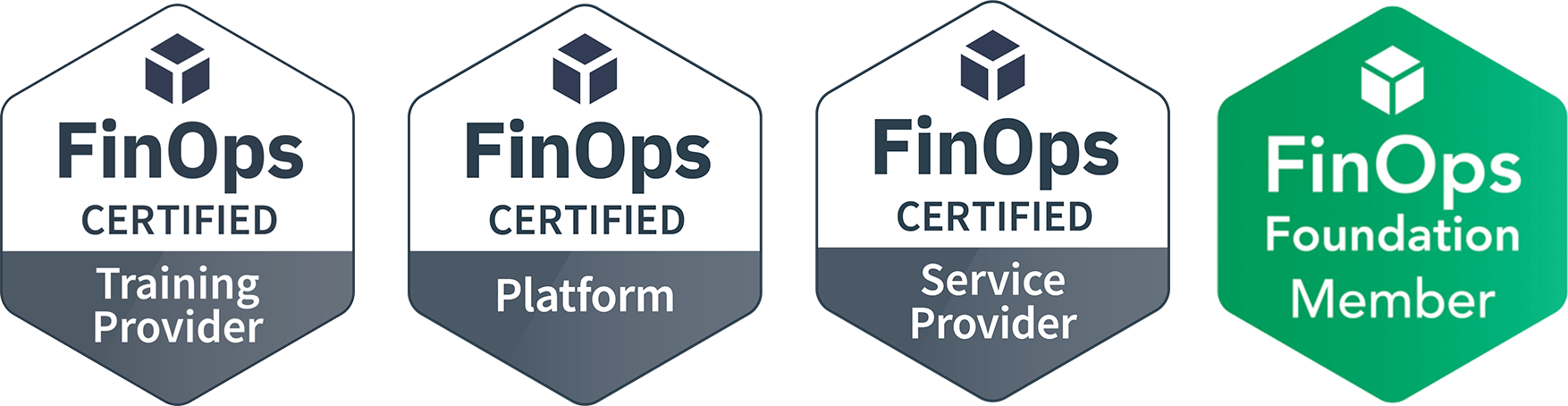 FinOps Certified Service Provide
