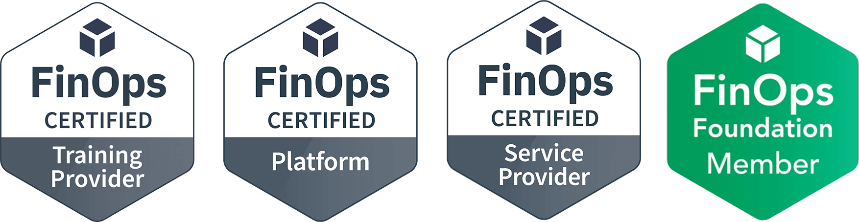 FinOps Certified Service Provide